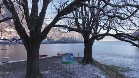 a serene winter scene at lake walensee, switzerland, where a bare tree frames the calm water and snow-covered shore, with red benches inviting quiet reflection on the picturesque landscape.