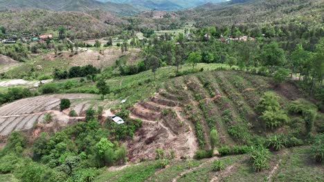 Farm-Fields-On-Mountain-Terraces-Of-Chiang-Mai-In-Thailand