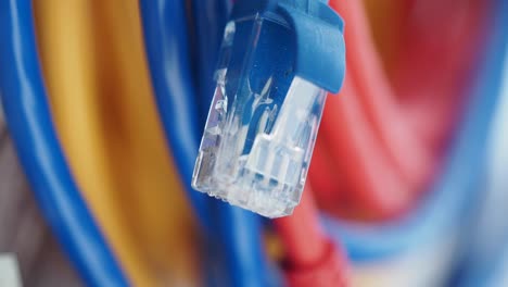close-up of an ethernet cable connector