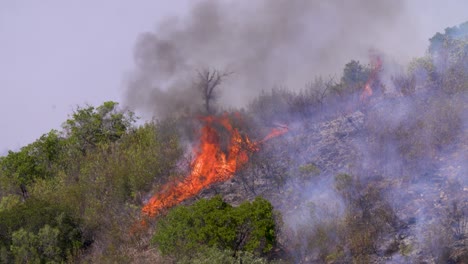 el aire vibra por el enorme calor de un incendio forestal en las montañas