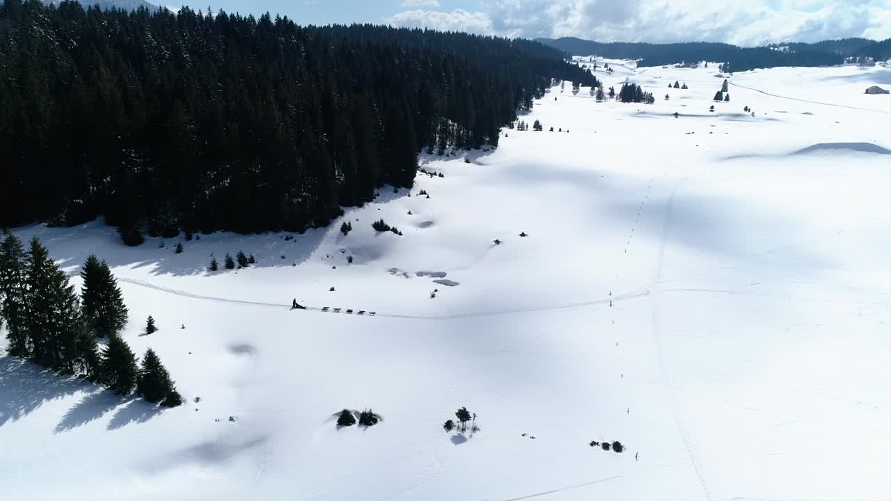 Ripresa con drone che traccia una slitta trainata da cani in una bellissima valle innevata.