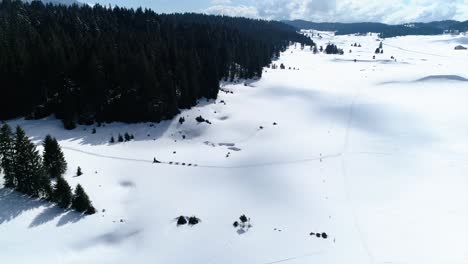 drone tracking shot of a dog sled in a beautiful snowy valley