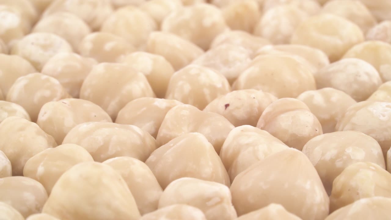 은 헤이즐의 어리, 회전 테이블에서 천천히 회전, 근접, 매크로.