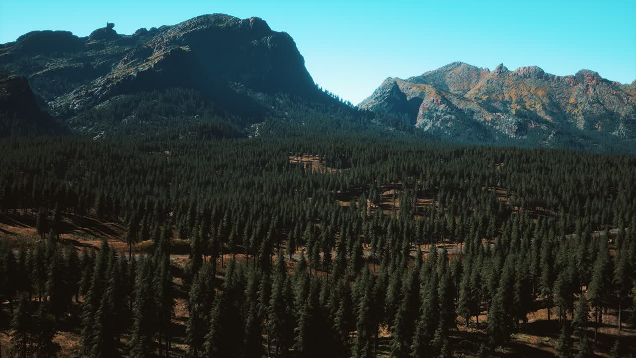 산악 도로 와 숲 의 공중 전망
