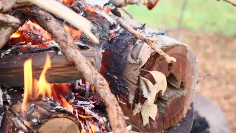 El-Malvavisco-Pegajoso-Casi-Ardiendo-Gotea-En-Cámara-Lenta-Por-Las-Llamas-Crecientes-Y-El-Humo-Para-Agregar-Carbón-Negro.