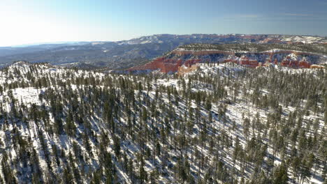 snowy forest and red rock mountains landscape in winter