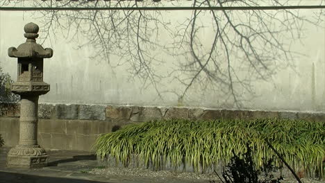 una linterna japonesa se encuentra frente a una pared de yeso con las sombras de las ramas de los árboles en ella