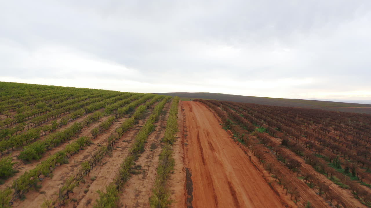 el camino a la belleza rural