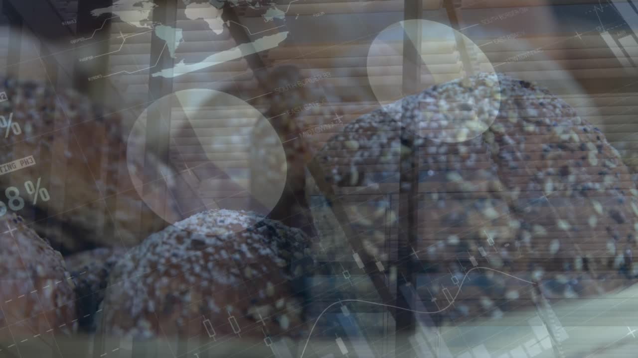 데이터 처리의 애니메이션과 서버  ⁇  위의 글로브