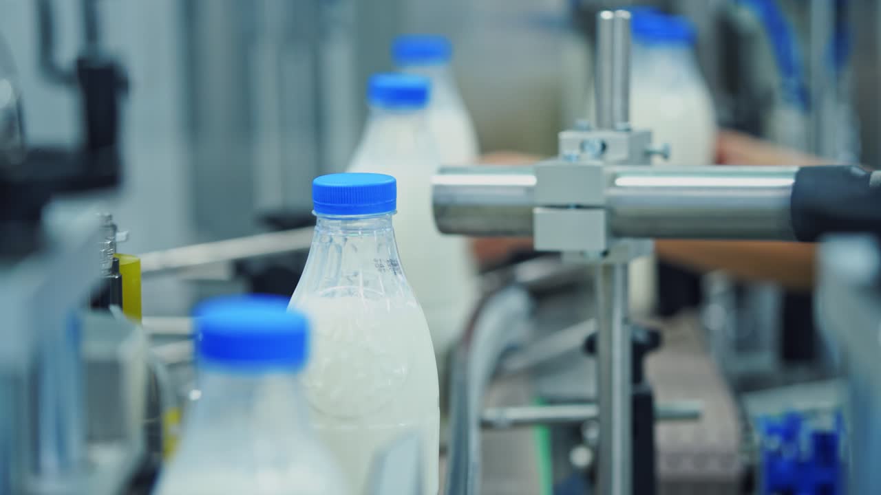 Bottles with milk moving on conveyor line. Packaging line at dairy factory. Food industry. Milk production plant.