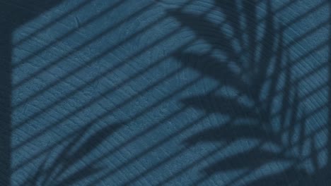 animation of palm leaf and stripe shadows over changing blue wood grain pattern