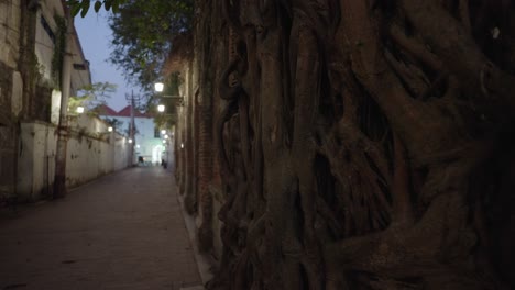 nighttime alley in an old indonesian town