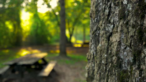 el disparo deslizante revela el área de picnic.