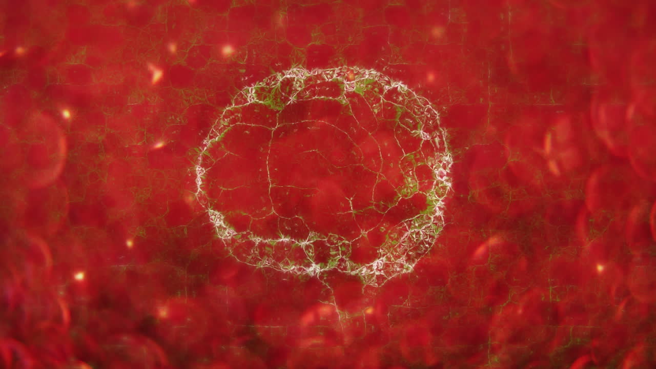 animación del cerebro humano sobre las manchas rojas