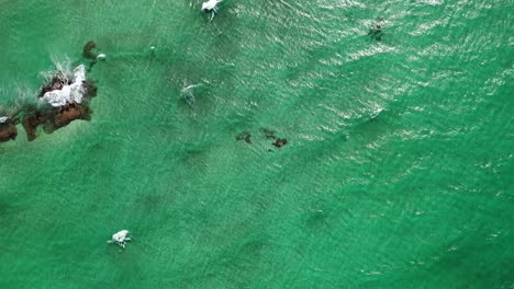 playa de olas abstractas en vista desde arriba.