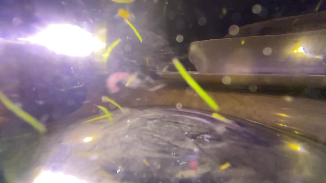 agitando las hierbas del té en la taza