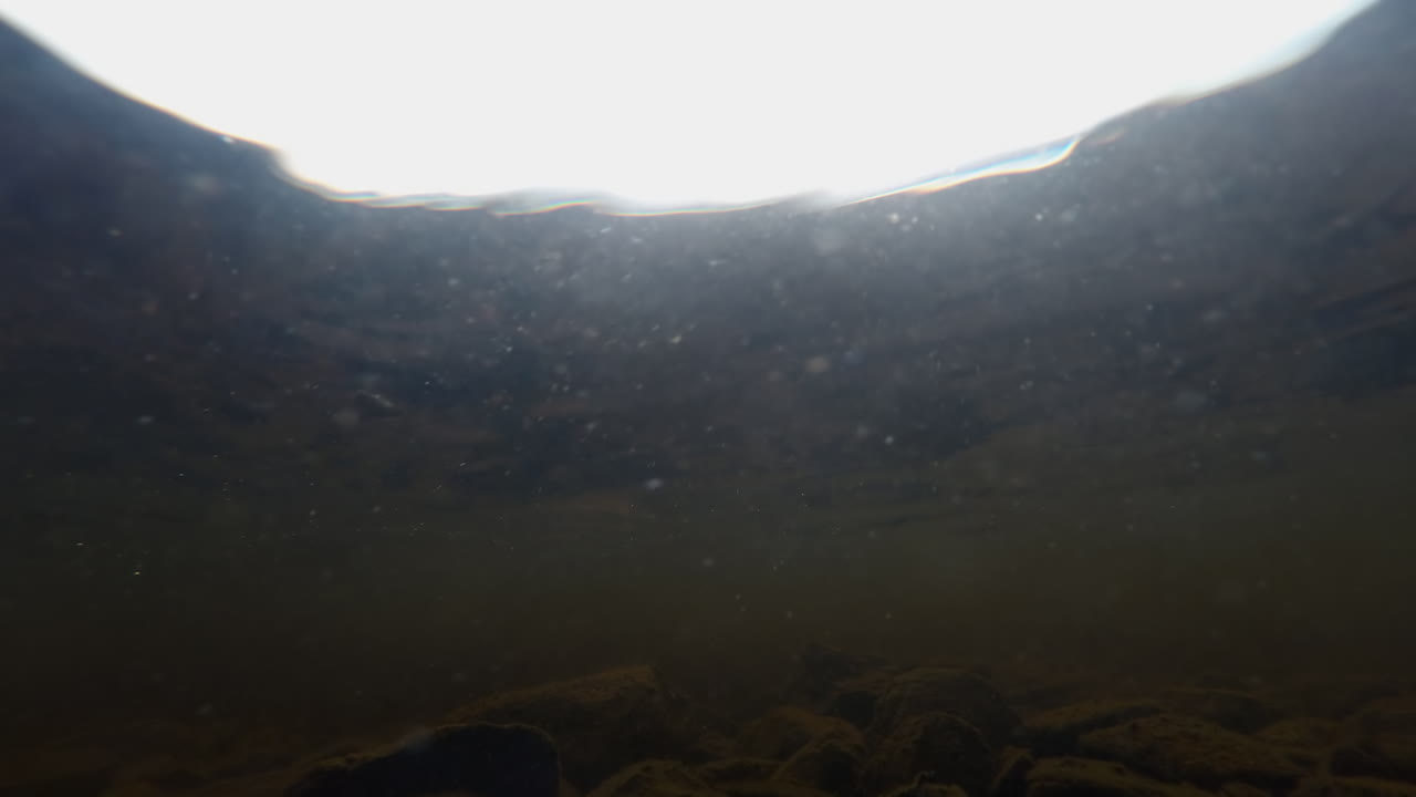 Bubbling underwater timelapse in a lake, showing algae, rocks, and shimmering light from above