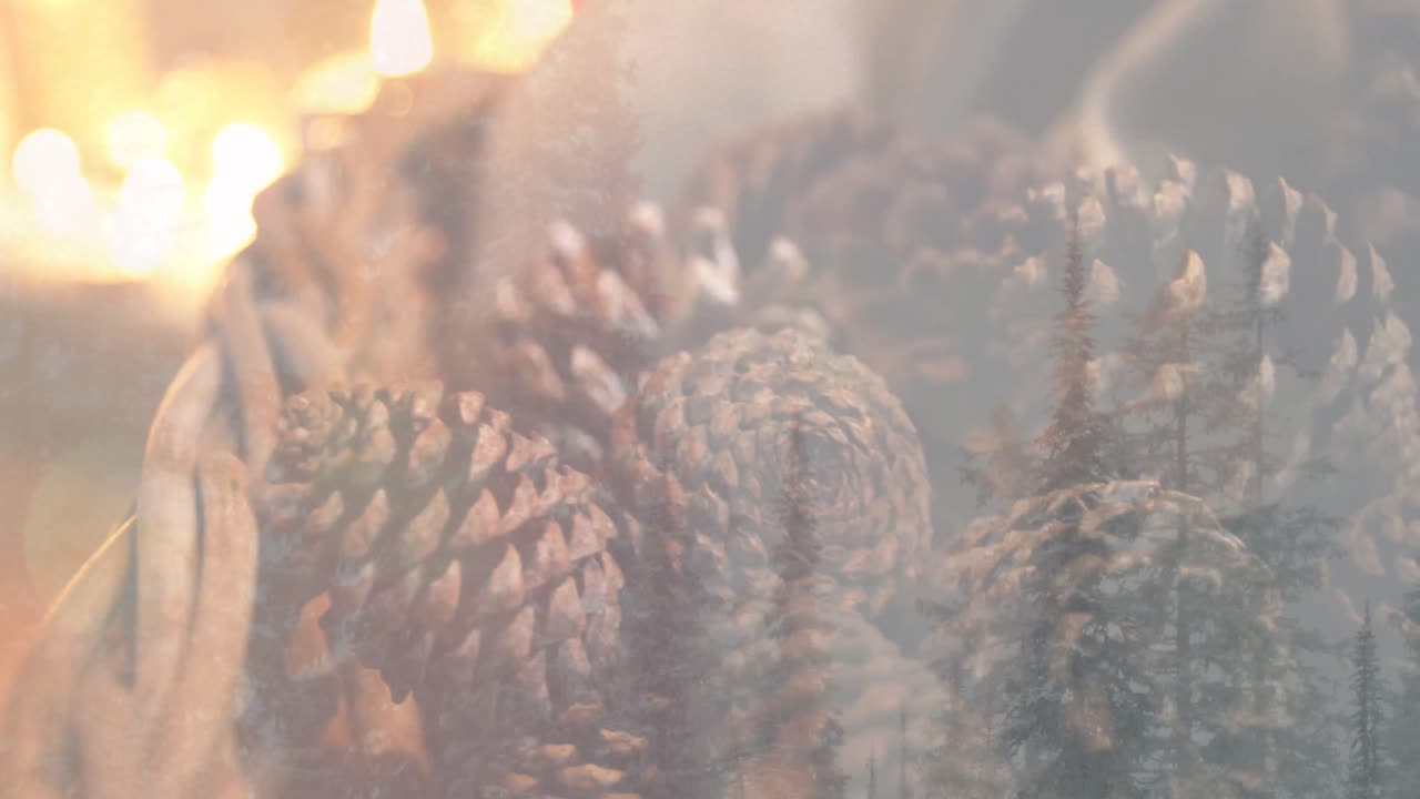 ⁇ 불 의 애니메이션 과 소나무  ⁇  으로 된 크리스마스 장식