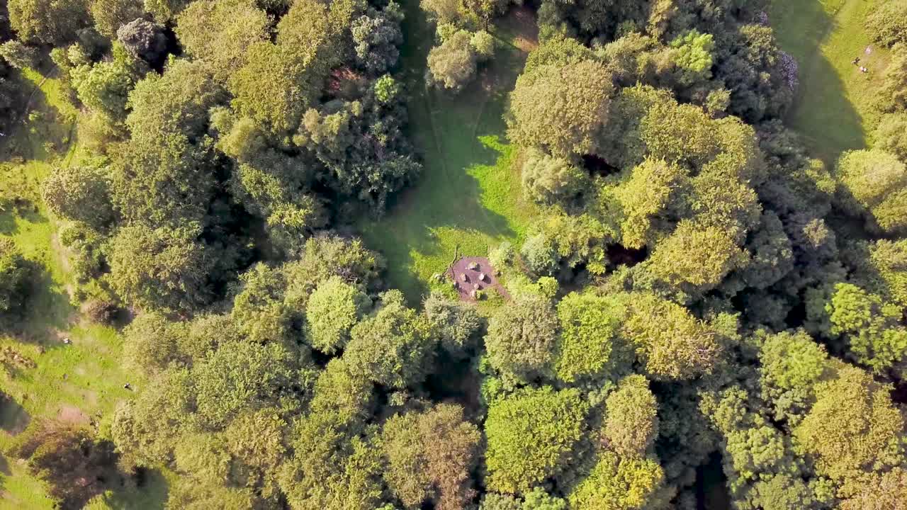 퀸즈 파크 나무 위로 마우스를 가져갑니다.