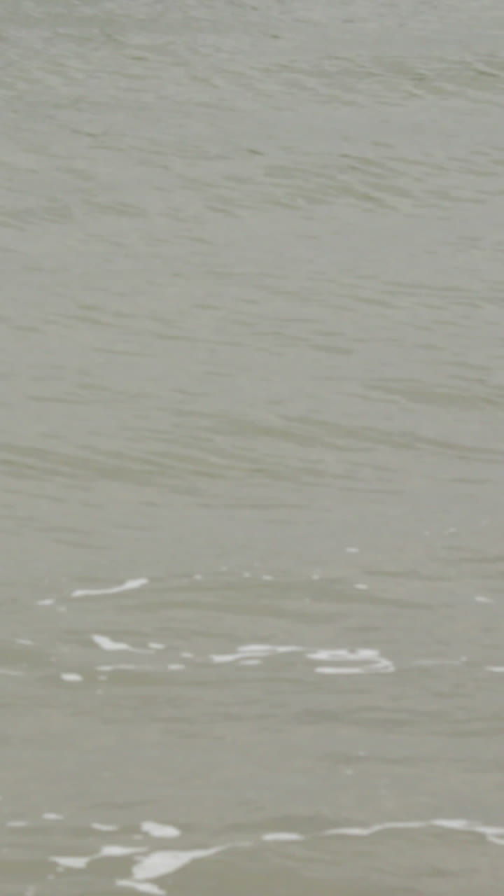 las olas del océano