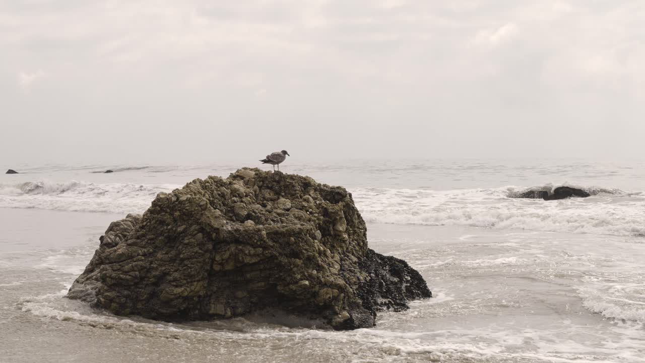 Spiaggia El Matador: onde che si infrangono sulla sabbia californiana, gabbiani su una roccia
