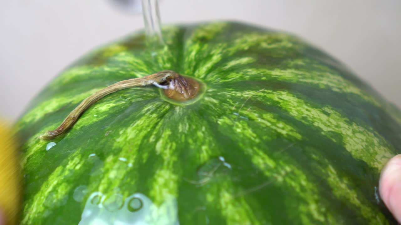 수박을 에서 흐르는 차가운 물 에서 으십시오.