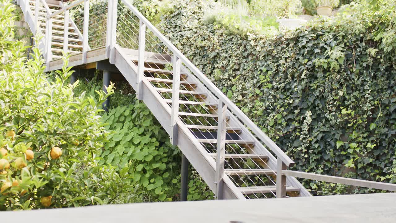 La camera inizia ad acquisire le scale del giardino con ringhiere a cavo, arbusto da frutto ed edera per l'accesso alla collina