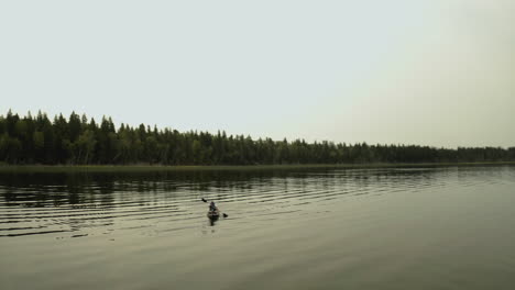 Kayak-En-Un-Gran-Lago-Tranquilo-En-El-Bosque-Boreal,-Saskatchewan,-Canadá---órbita-Aérea