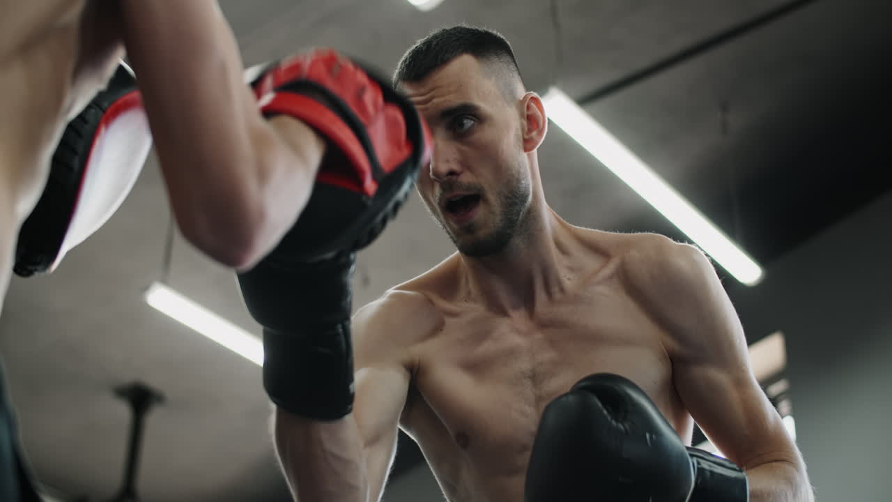 권투 훈련 세션