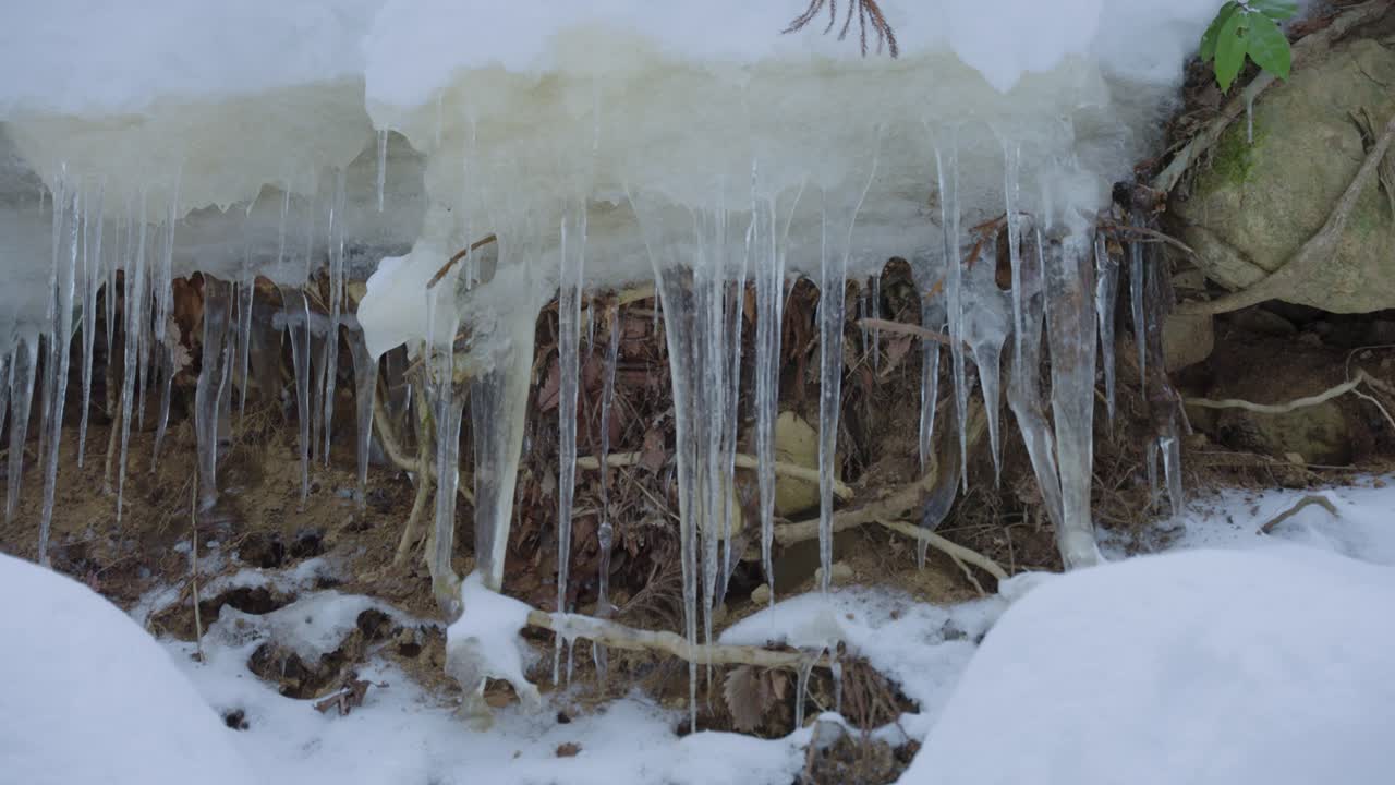 일본 알프스의 얼어붙은 숲의 고드름