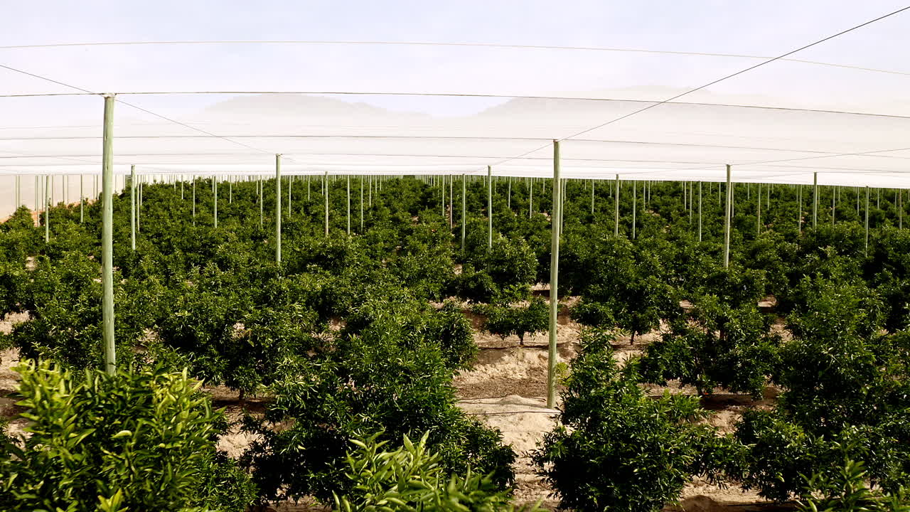 la naturaleza sigue dando