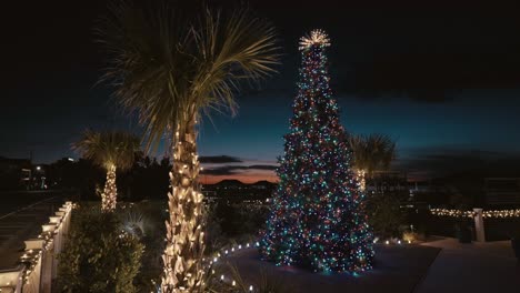 colorful illuminated christmas and palm tree lights against nightsky