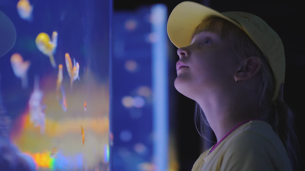 Side View Little Girl Looking At A Huge Aquarium With Sea Fishes Inspiration And Impressions Concept