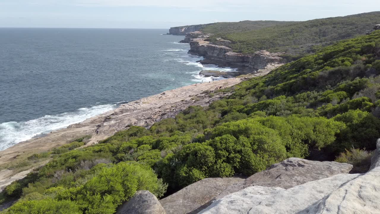 el viento sopla a través de la zona de matorrales en el parque nacional real de sydney, australia