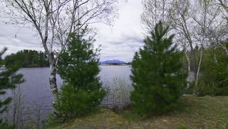 tomada amplia de algunos árboles y un lago con mt.