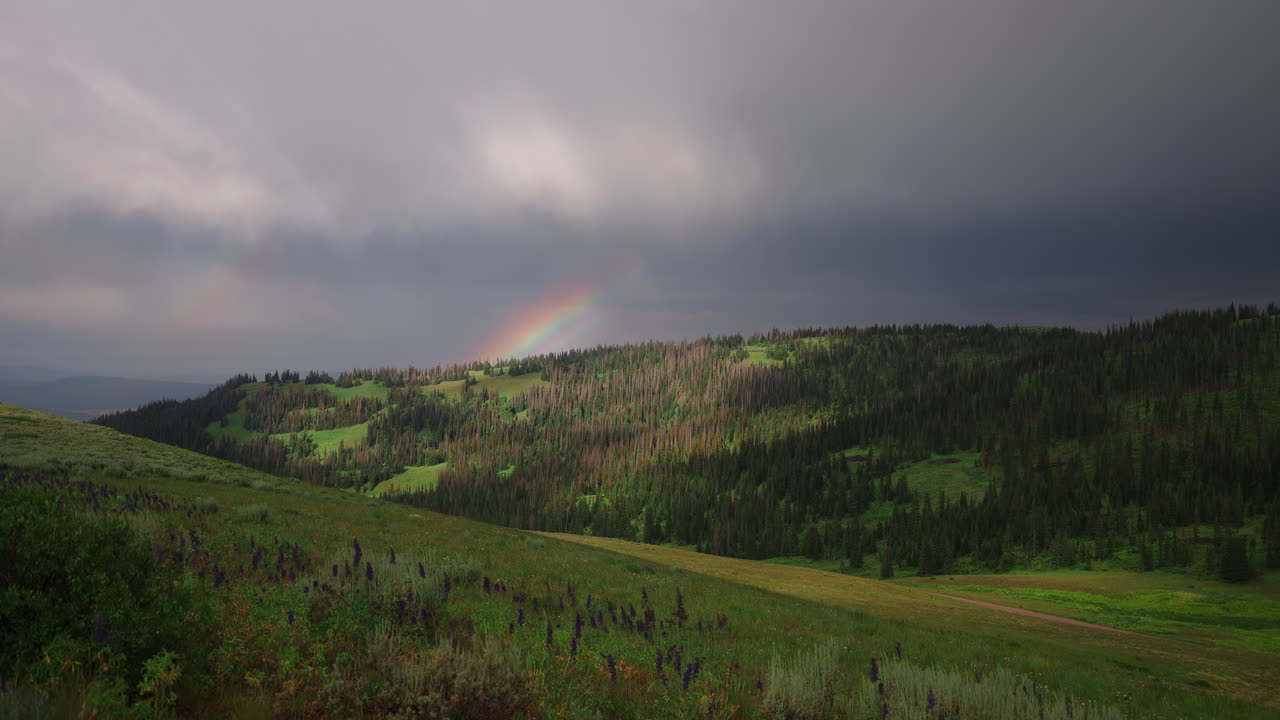 Rainbow On A Cloud Storm Sky Over Dense Forest Mountains. Timelapse