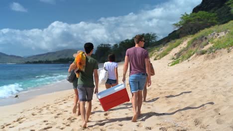 grupo de amigos caminando por la playa 4k