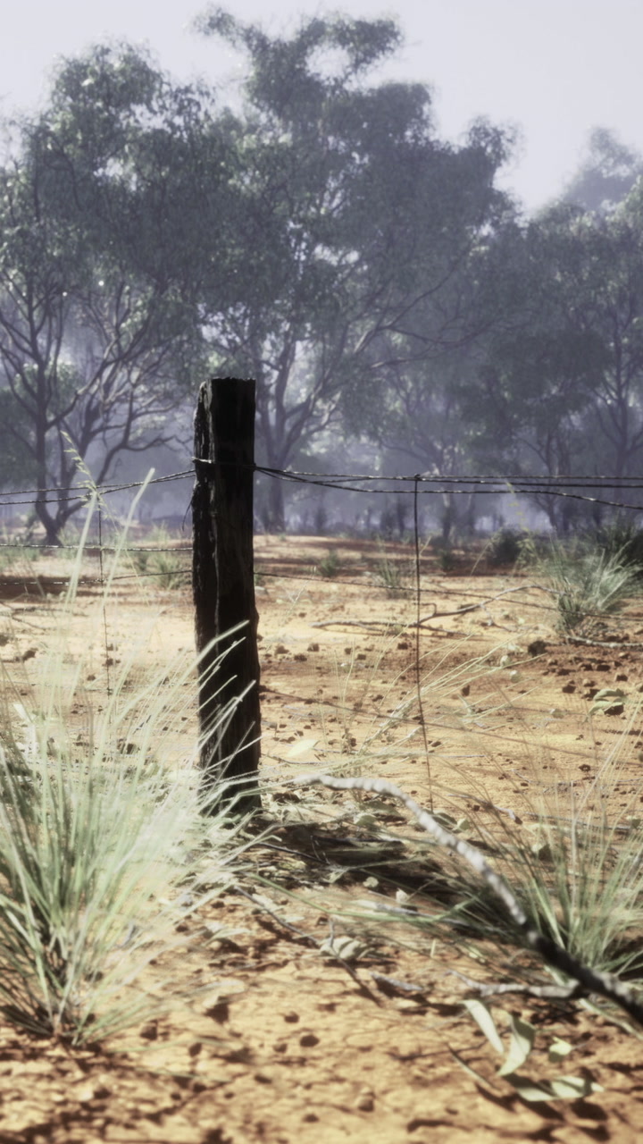 Barbed wire fence in a dry field with trees in the background in midday light