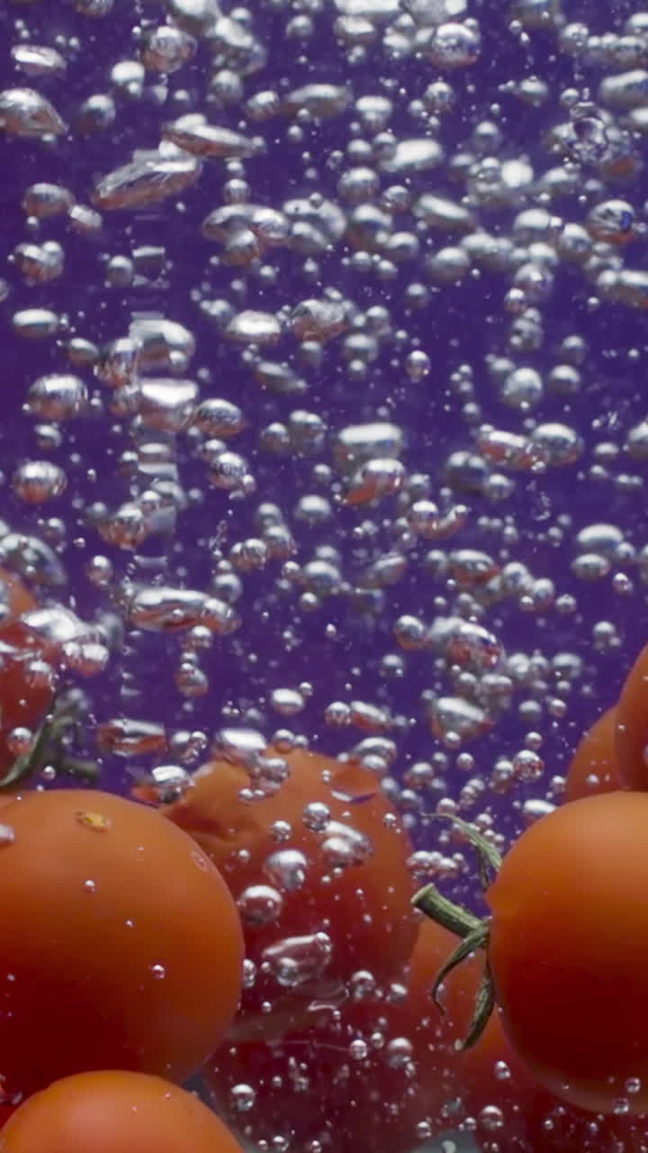 물에 인 토마토