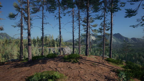 hermosa vista de la montaña con bosque de pinos