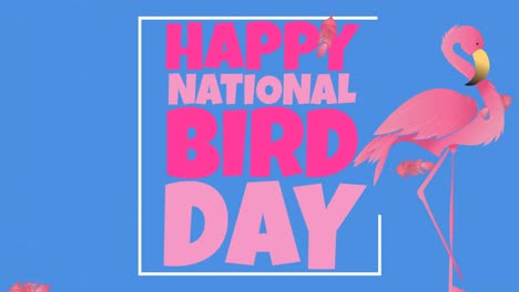 animation of national bird day text in pink, with flamingo and falling pink feathers, on blue