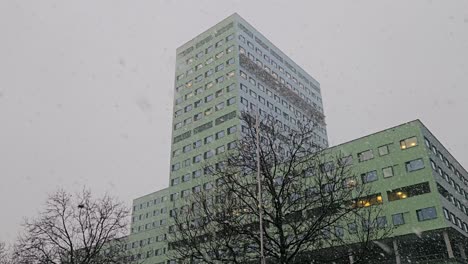 ZNA Cadix hospital during heavy snowfall with bare trees in the foreground, on a cold winter day in Antwerp, Belgium