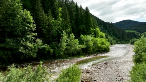 Luftdrohnen-Fliegen-über-Dem-Fluss-Savinja-In-Slowenien,-Natürliche-Landschaft-Des-Logar-Tals,-Wunderschönes-Natürliches-Reiseziel