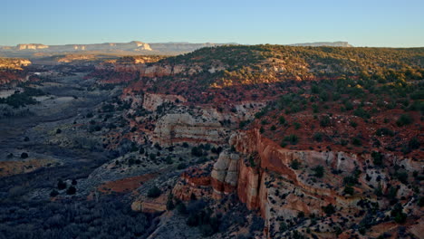cinematic drone shot soaring over a colorful desert canyon at first light, with small trees adding texture to the landscape.