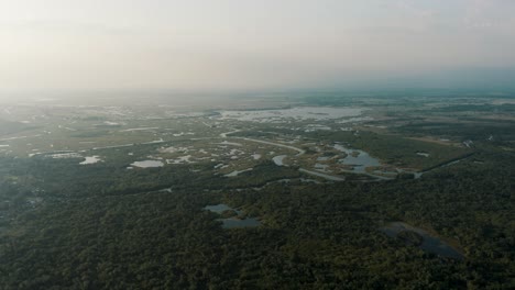 Küstenfeuchtgebiet-An-Der-Pazifikküste-Von-Guatemala-Im-Monterrico-reservat