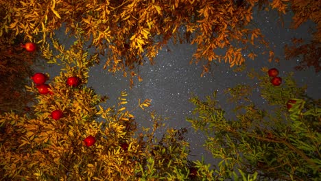 Sterne-Drehen-Sich-Am-Nachthimmel-In-Der-Iranischen-Persischen-Folkloreliteratur.-Die-Einheimischen-Schlafen-In-Der-Herbsterntezeit-Draußen-Im-Granatapfelgarten,-Um-Früchte-Zu-Pflücken-Und-Die-Andromeda-Galaxie-Zu-Beobachten