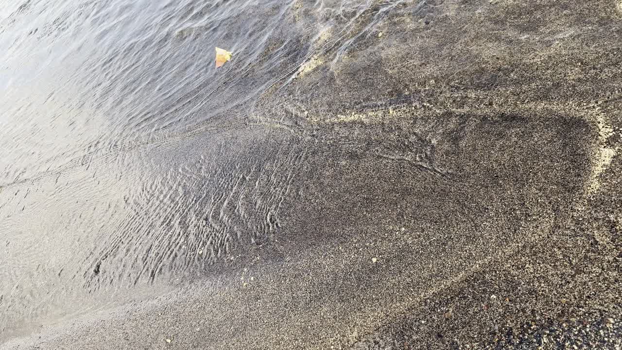 Clear Water Flowing Over Dark Sand on a Beach Shore