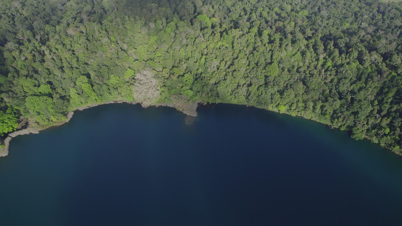 exuberante selva tropical y agua serena en el lago eacham en atherton tableland, queensland, australia - toma aérea de drones