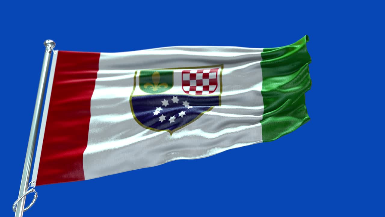 보스니아-헤르체고비나 연방의 4k 매우 상세한 발 - 보스니아와 헤르체고비아 연방의 발 높은 세부 사항 - 국가 발 보스니아 및 헤르체코비나 연방 파동 패턴 loopable 요소