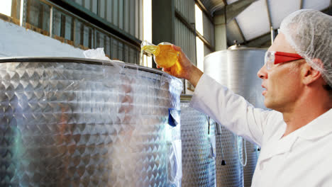 técnico que examina el aceite de oliva